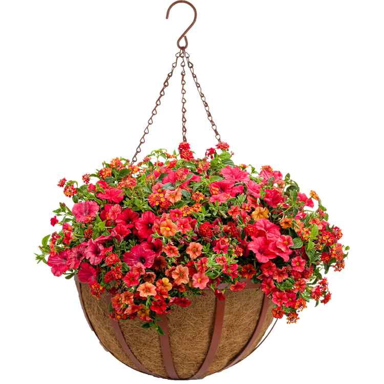 16 Oxford Hanging Basket With Aquasav™ Coco Liner Pride Garden Products 2822