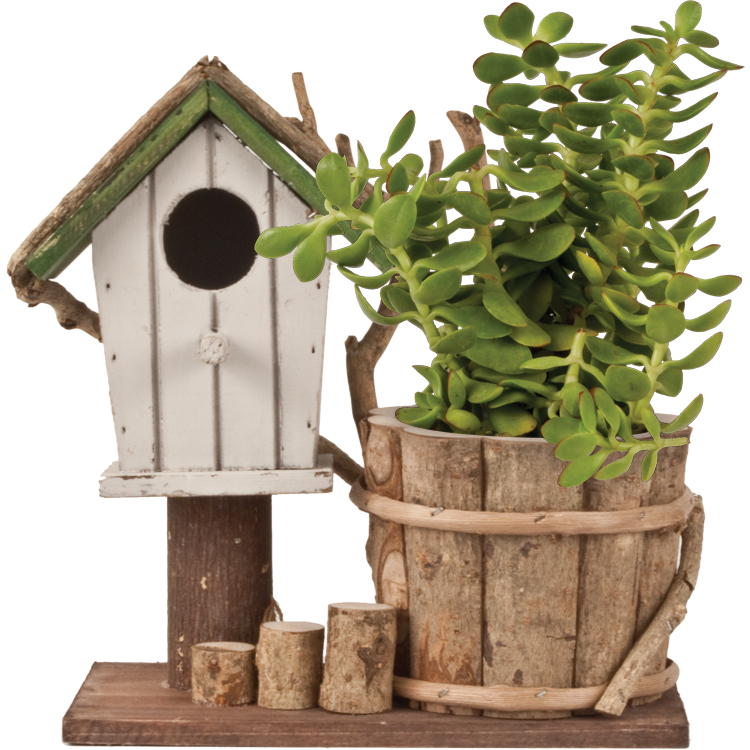 Live Green™ Rustic Cottage Birdhouse Planter - Pride Garden Products